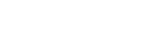Digital Rexfelix Logo Digital Rexfelix Logo